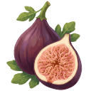 Fig.meme